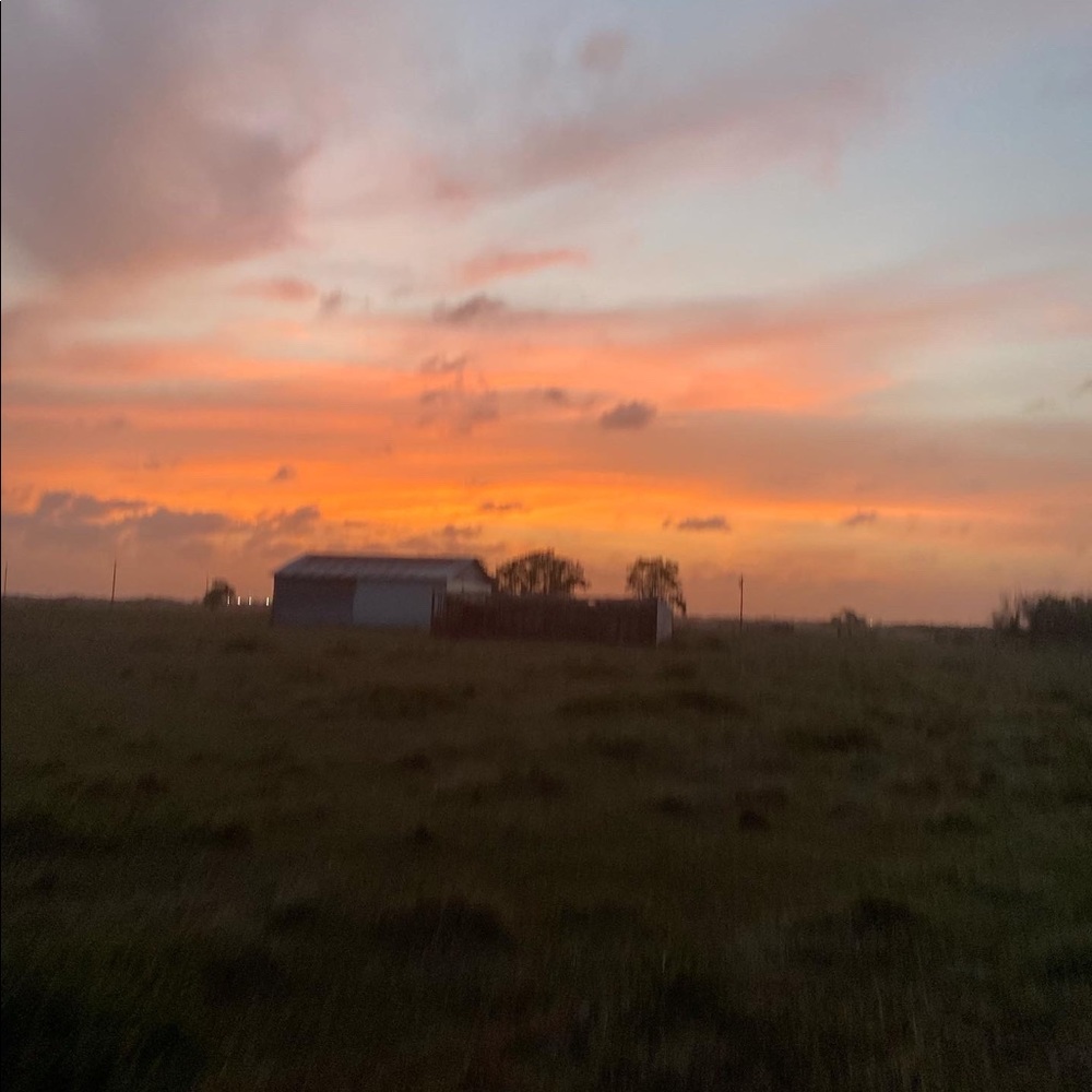 Meet your Posher, Desiree